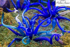 chihuly-seattle-2470-83
